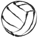 Netball Logo